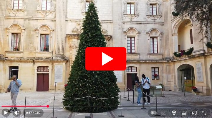 Video z mesta Mdina